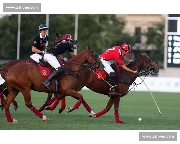 聚焦关键对决球队实力碰撞全景解析vs巴厘安赛前看点深度前瞻